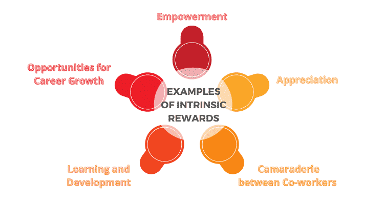 Examples of Intrinsic Rewards