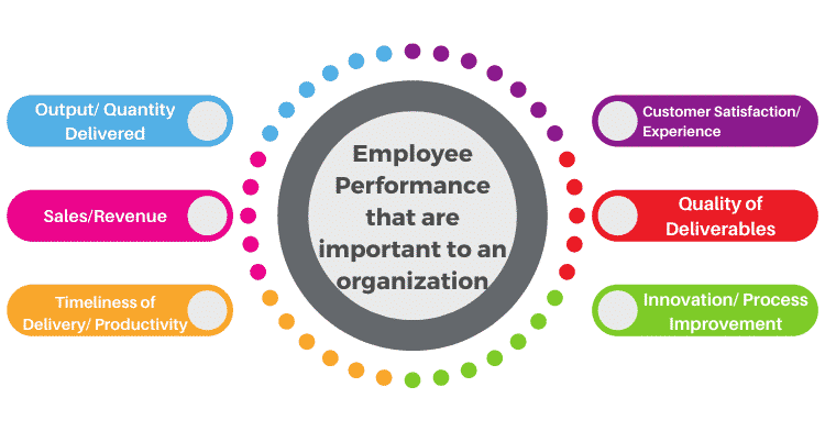 aspects of Employee Performance that are important to an organization